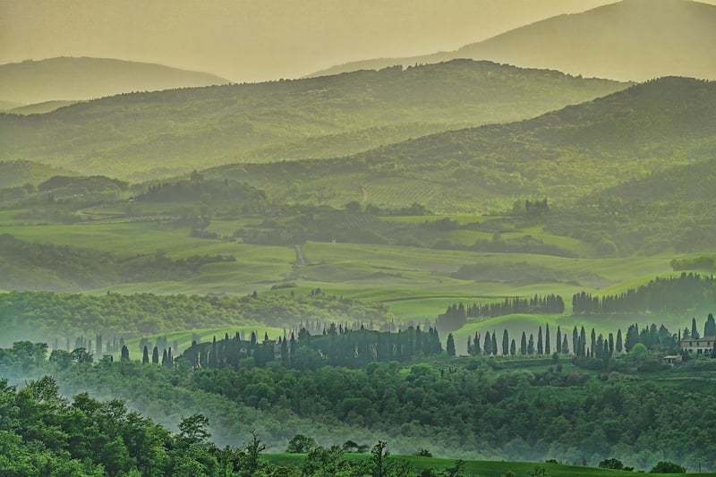 Tuscan vineyard